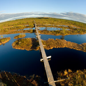 estonian nature tours