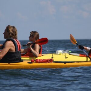 estonian nature tours