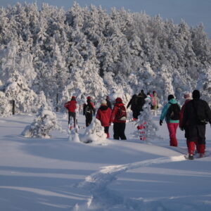 estonian nature tours