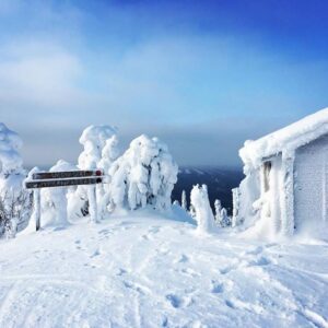 estonian nature tours